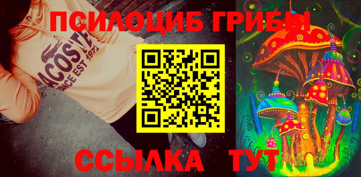 Псилоцибиновые грибы мицелий  Галлюциногенные грибы GOLDEN TEACHER  Вход с VPN  Дзержинск 